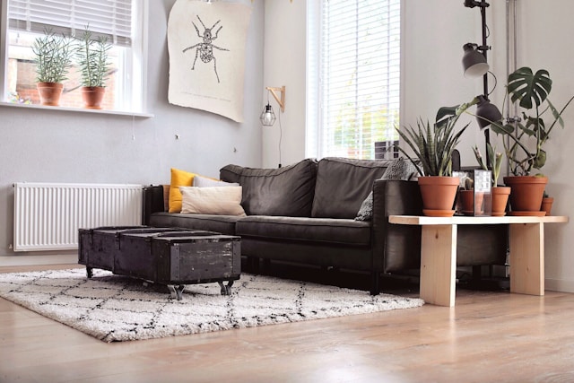 Hoarders Clearance & Cleaning